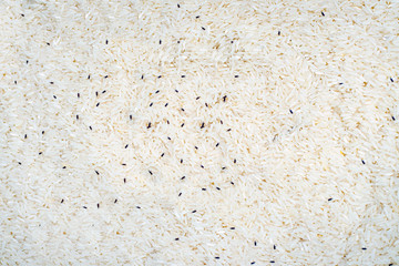 grain rice with many moth.