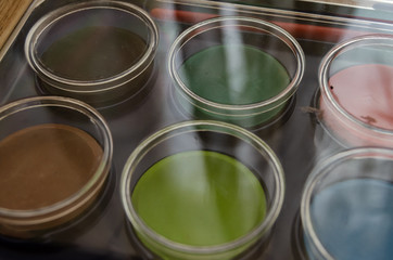 back to school concept watercolor palet