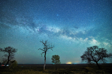 The starry sky landscape.