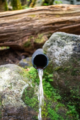 Water Pipe