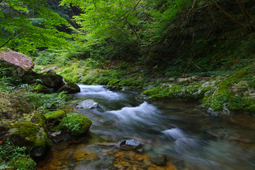 Obraz premium 鏡野・白賀渓谷