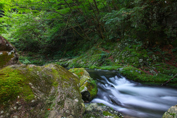 鏡野・白賀渓谷