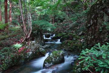 鏡野・白賀渓谷