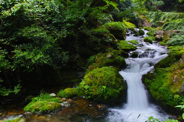 鏡野・白賀渓谷