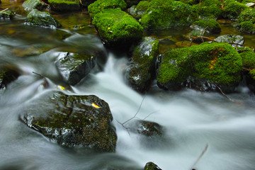 山乗渓谷・不動滝