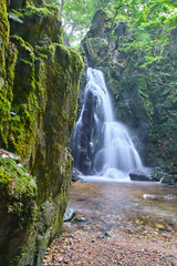 山乗渓谷・不動滝