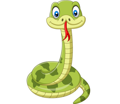 Cute green snake cartoon on white background