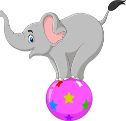 Cartoon circus elephant standing on a ball 