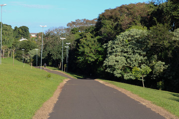 road in park