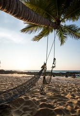 Beach cradle under coconut tree with clear sky