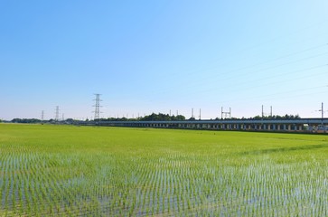 風景　田舎　水田　高架橋　鉄塔　杤木