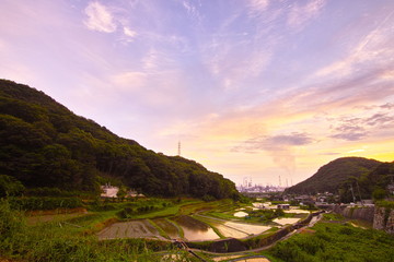 水島コンビナートと棚田リフレ