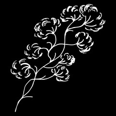 Abstract cotton branch outline icon isolated on black background. Creative luxury fashion logotype concept icon. Hand Drawn vector illustration. Cotton logo
