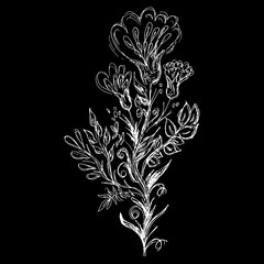 Abstract wildflowers outline icon isolated on black background. Creative logotype concept icon. Hand Drawn vector illustration. Wildflower logo. Sketch