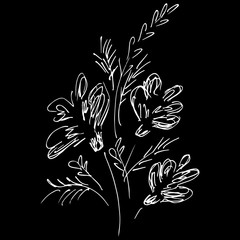 Abstract wildflowers isolated on black background. Hand Drawn vector illustration. Outline
