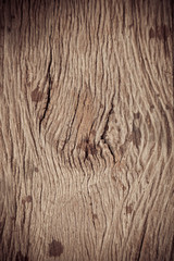 Old wood texture