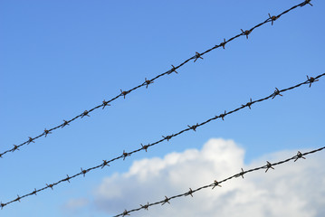 barbed wire fence