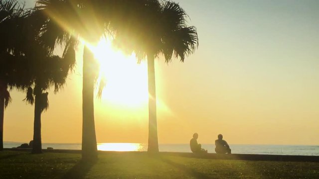 Time Lapse of Palm tree and people near the beach. Araha Beach, Chatan, Okinawa, Japan.