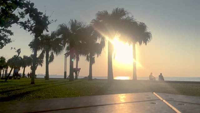 Time Lapse of Palm tree and people from a park bench. Araha Beach, Chatan, Okinawa, Japan.