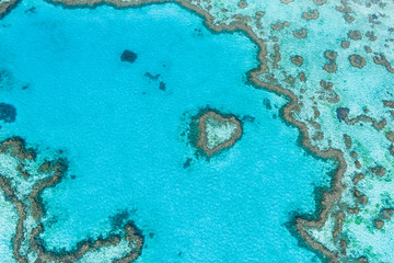 Fototapeta na wymiar Heart Reef