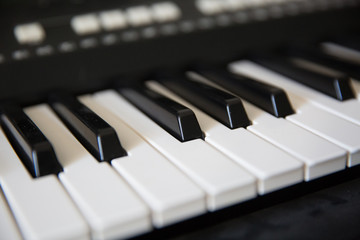 Black and white keys close-up, piano, keyboard, accordion