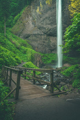 Fototapeta premium Hiking footbridge through lush greenery and waterfall in Oregon's Columbia River Gorge
