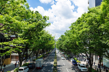 (東京都ｰ都市風景)初夏の表参道１