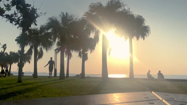 Time Lapse of Palm tree and Park Bench near the beach. Araha Beach, Chatan, Okinawa, Japan.