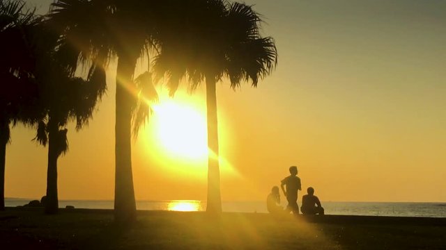 Time Lapse of Palm tree and people near the beach. Araha Beach, Chatan, Okinawa, Japan.