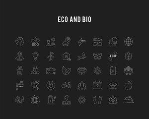 Set Vector Flat Line Icons Eco and Bio