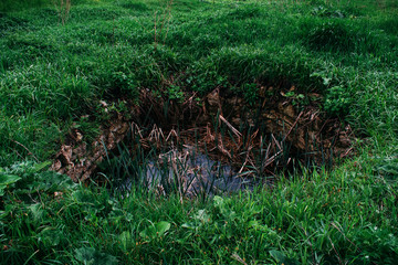 Old stone well.