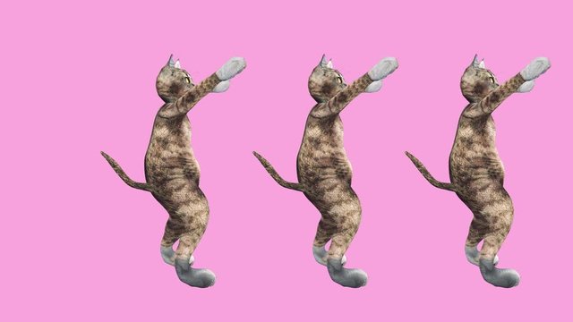 Cool and Fun Pet Dancing Hip Hop Style. Crazy Kitty Moves to Music Wave. The Concept of Modern Animated Styling with Animals. Minimal Motion Collage art. Pussycat Mad Trend. Relax and Move to the Beat