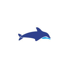 Dolphin logo design vector template