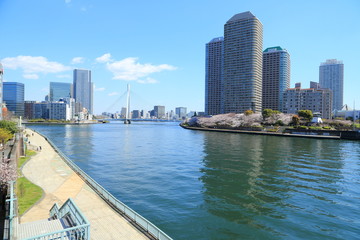 Naklejka premium 隅田川沿いに建ち並ぶ高層マンション群