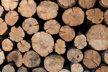 The firewood stack is arranged in a wall background