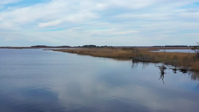 Drone aerial over marsh land