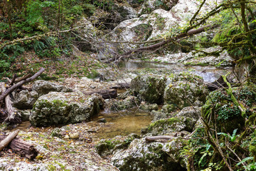 Sources of mountain rivers spring water coming from rocks.