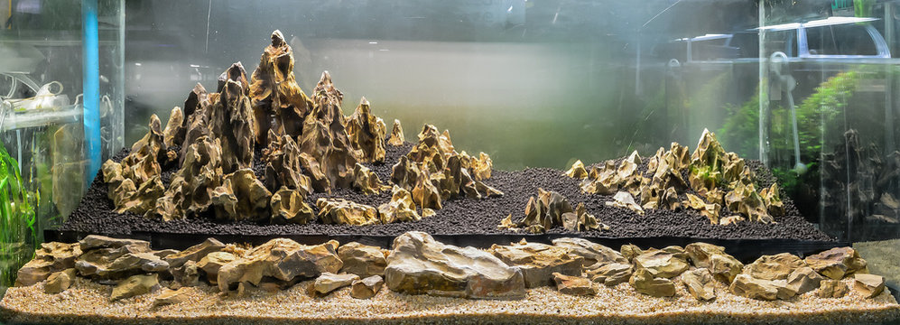 Dragon Stone Arrangement On Soil Substrate .