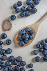 Freshly picked blueberries in a bowl