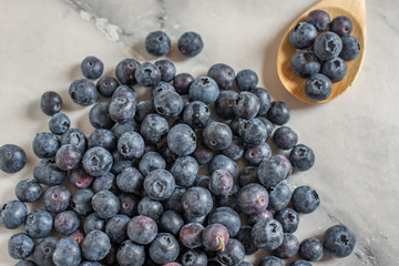Freshly picked blueberries in a bowl