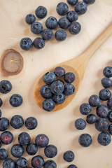 Freshly picked blueberries in a bowl