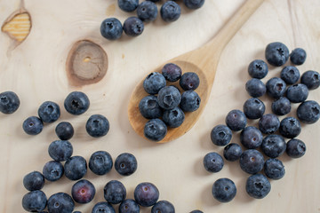 Freshly picked blueberries in a bowl