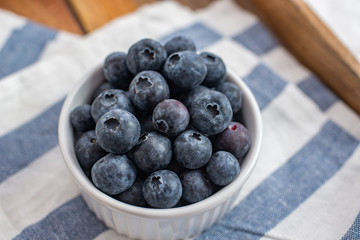 Freshly picked blueberries in a bowl