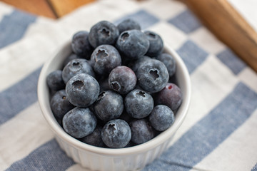 Freshly picked blueberries in a bowl