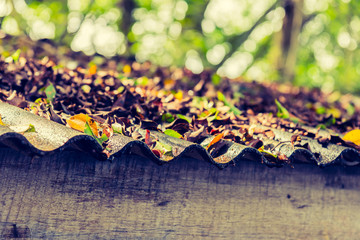   tiled roof for background usage.