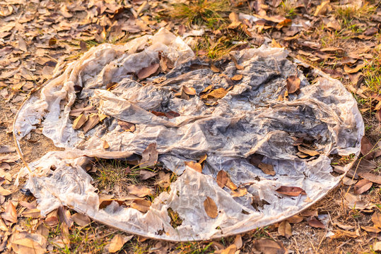  white paper lantern on ground as the problem of waste.