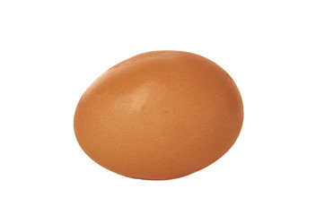 Brown egg isolate