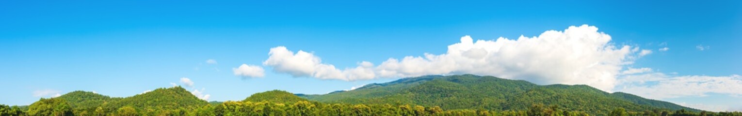   blue sky and mountain in background.