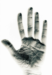 Silver pinch fingers