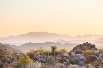 Fotobehang Landschappen in Arizona © Galyna Andrushko
